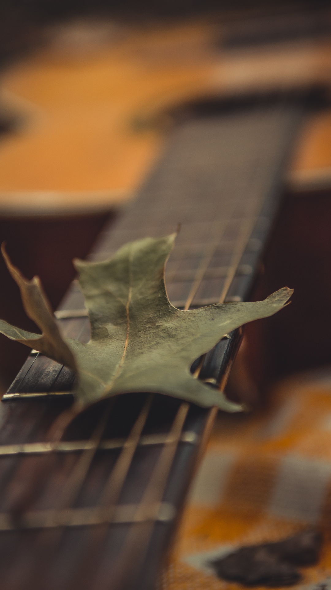 Hoja Verde en Guitarra Marrón. Wallpaper in 1080x1920 Resolution