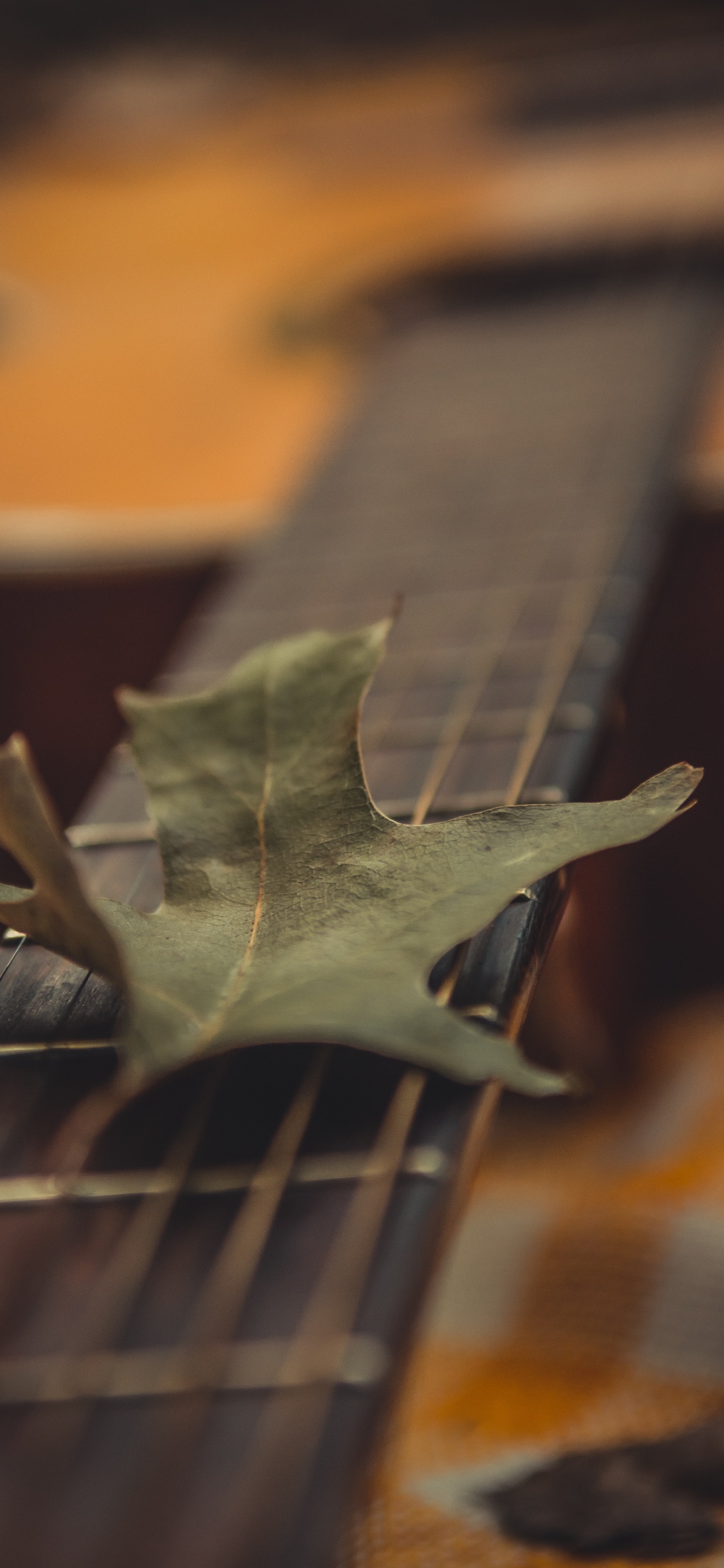 Hoja Verde en Guitarra Marrón. Wallpaper in 1125x2436 Resolution