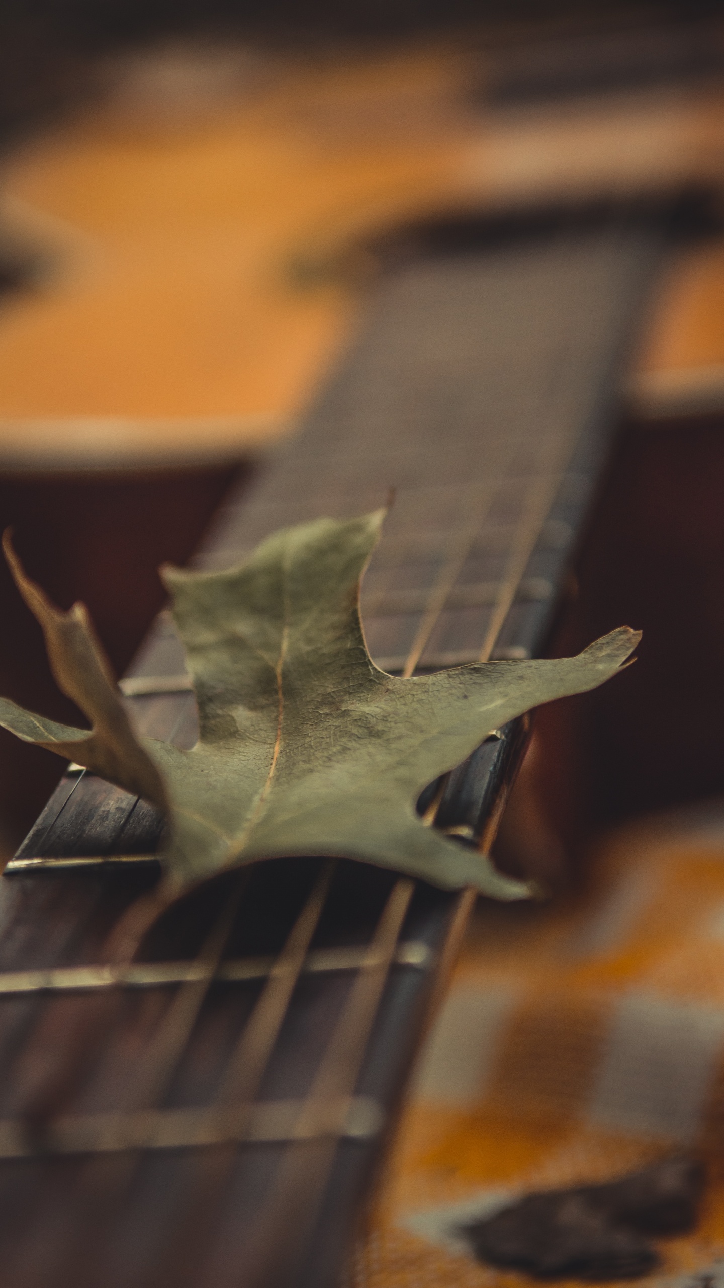 Hoja Verde en Guitarra Marrón. Wallpaper in 1440x2560 Resolution