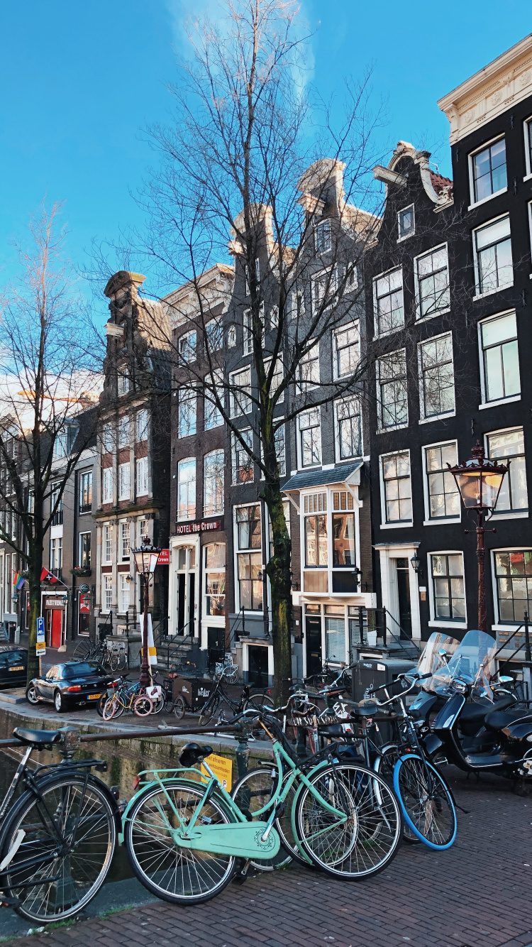 Fahrräder Tagsüber Vor Dem Gebäude Abgestellt Bicycle. Wallpaper in 750x1334 Resolution