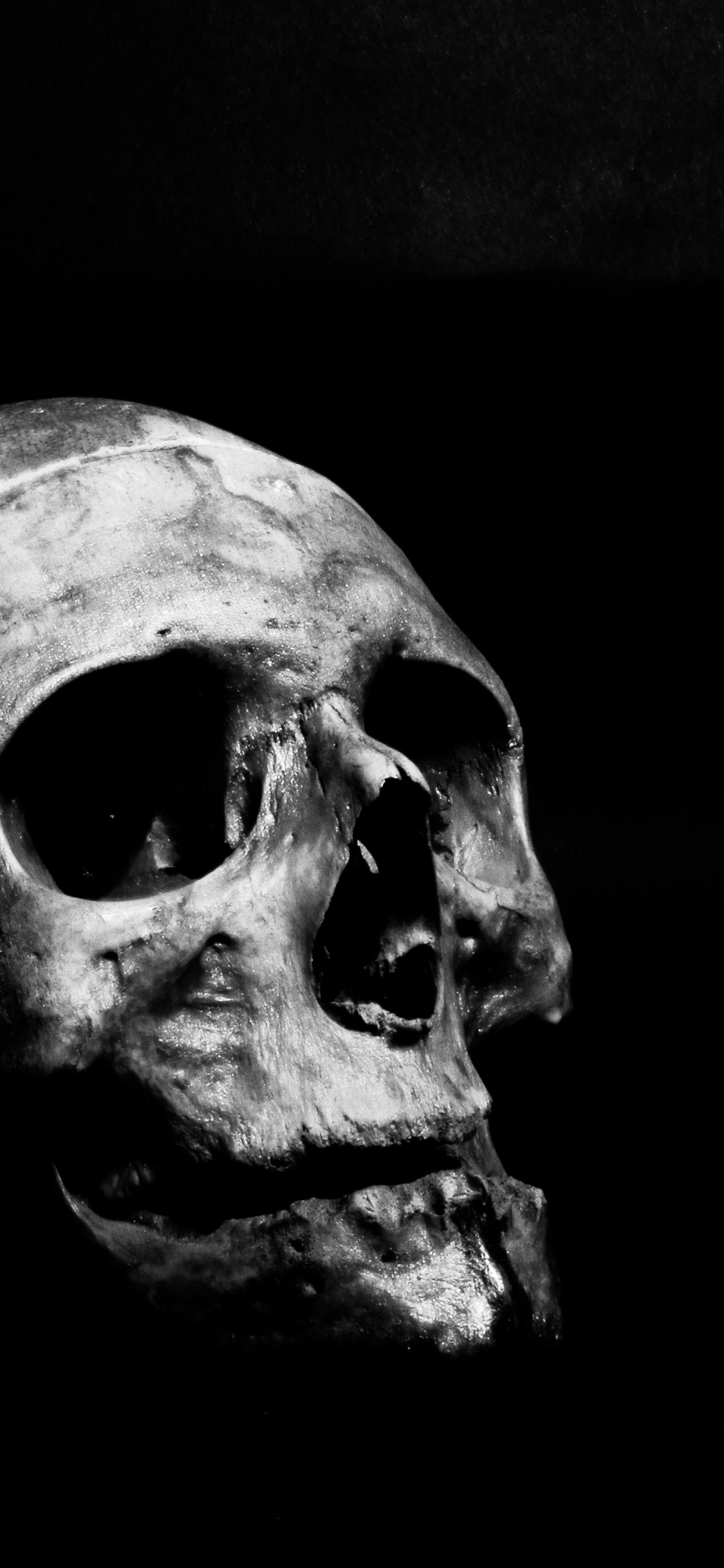 Black and White, Jaw, Bone, Skull, Art. Wallpaper in 1125x2436 Resolution