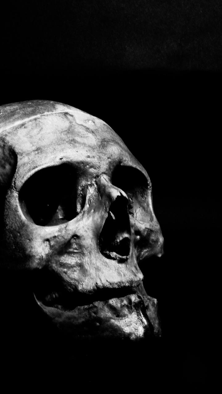 Noir et Blanc, Mâchoire, OS, Crâne, Art. Wallpaper in 720x1280 Resolution