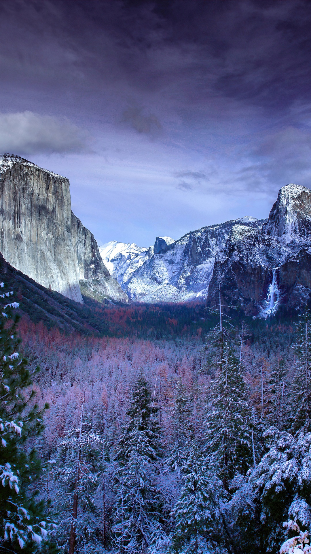 Yosemite National Park, Yosemite Valley, Wawona-Tunnel, Nationalpark, Park. Wallpaper in 1080x1920 Resolution
