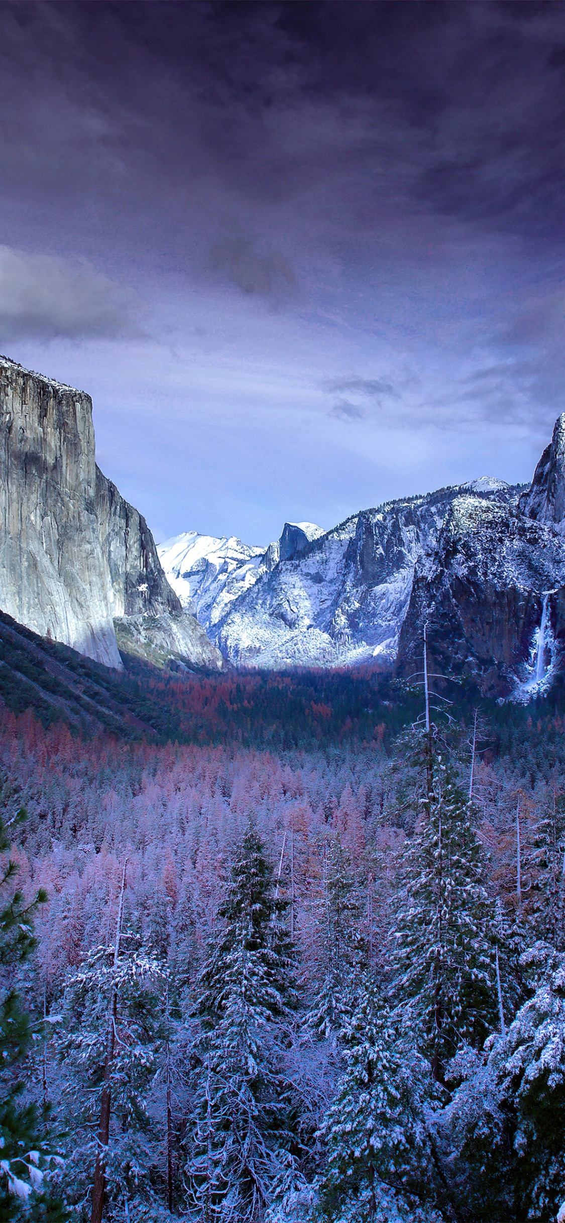 Yosemite National Park, Yosemite Valley, Wawona-Tunnel, Nationalpark, Park. Wallpaper in 1125x2436 Resolution