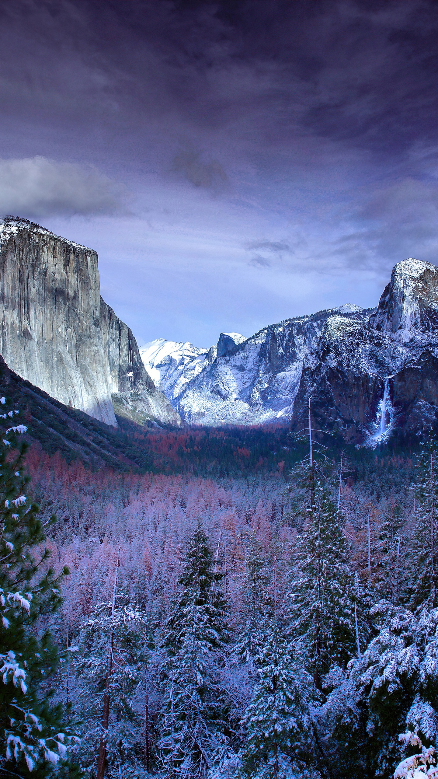 Yosemite National Park, Yosemite Valley, Wawona-Tunnel, Nationalpark, Park. Wallpaper in 1440x2560 Resolution