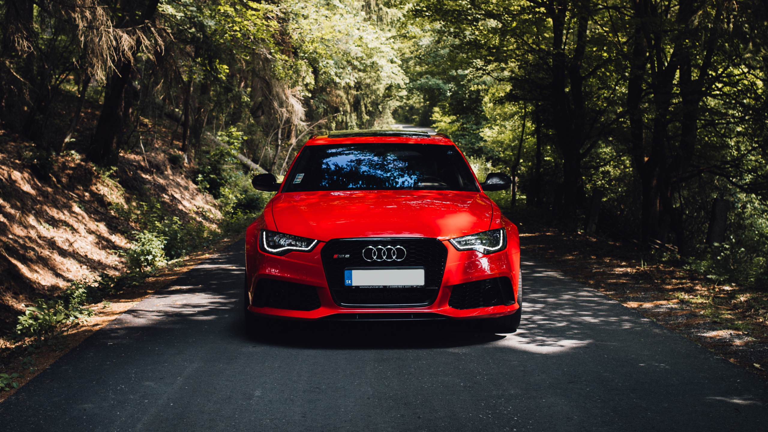 Red Car on Road Between Trees During Daytime. Wallpaper in 2560x1440 Resolution