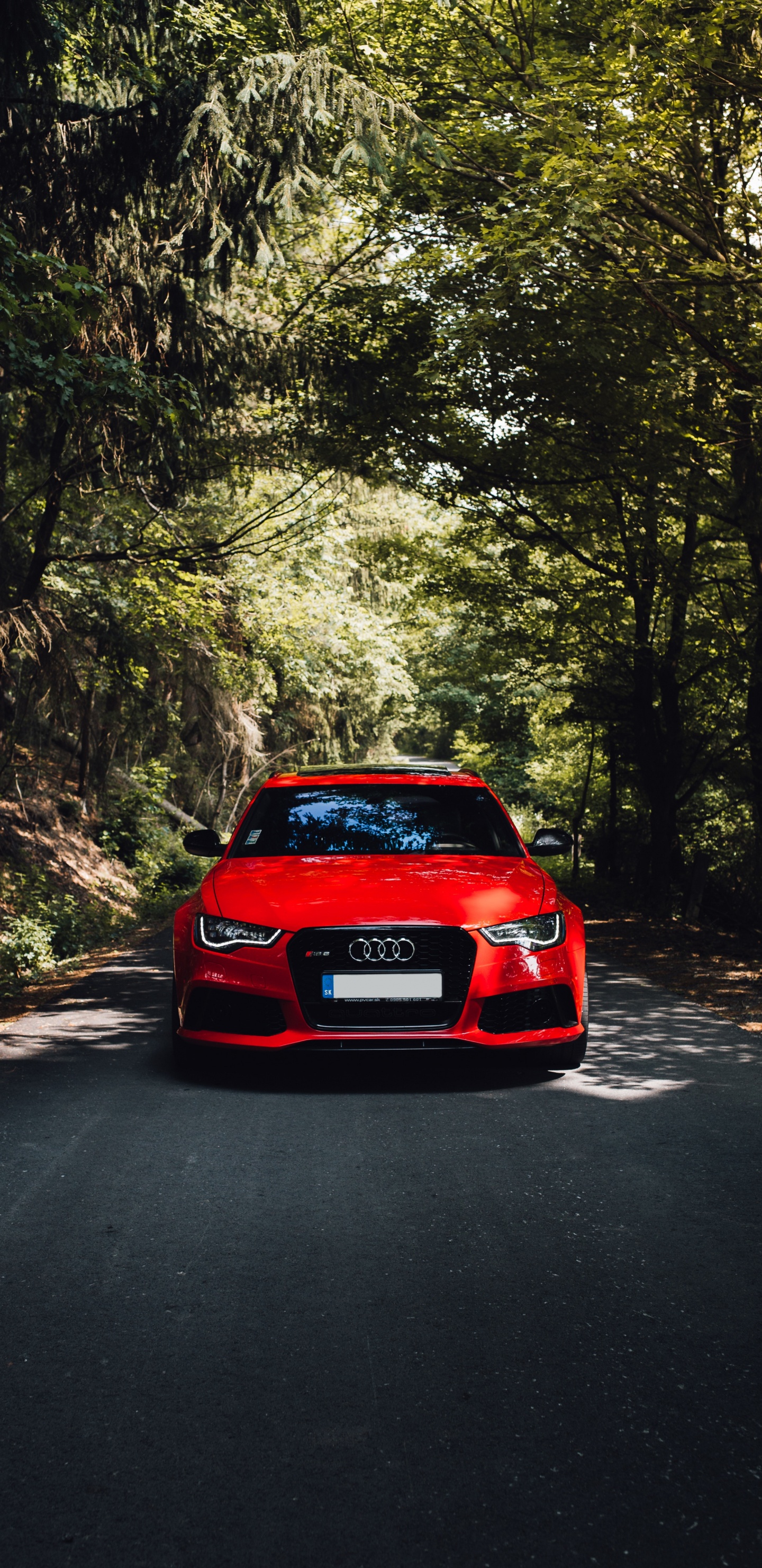 Coche Rojo en la Carretera Entre Árboles Durante el Día. Wallpaper in 1440x2960 Resolution