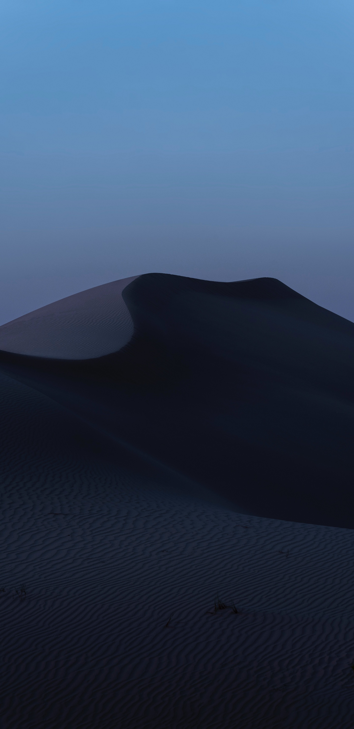 沙, 自然环境, 风积地貌, 天空 壁纸 1440x2960 允许