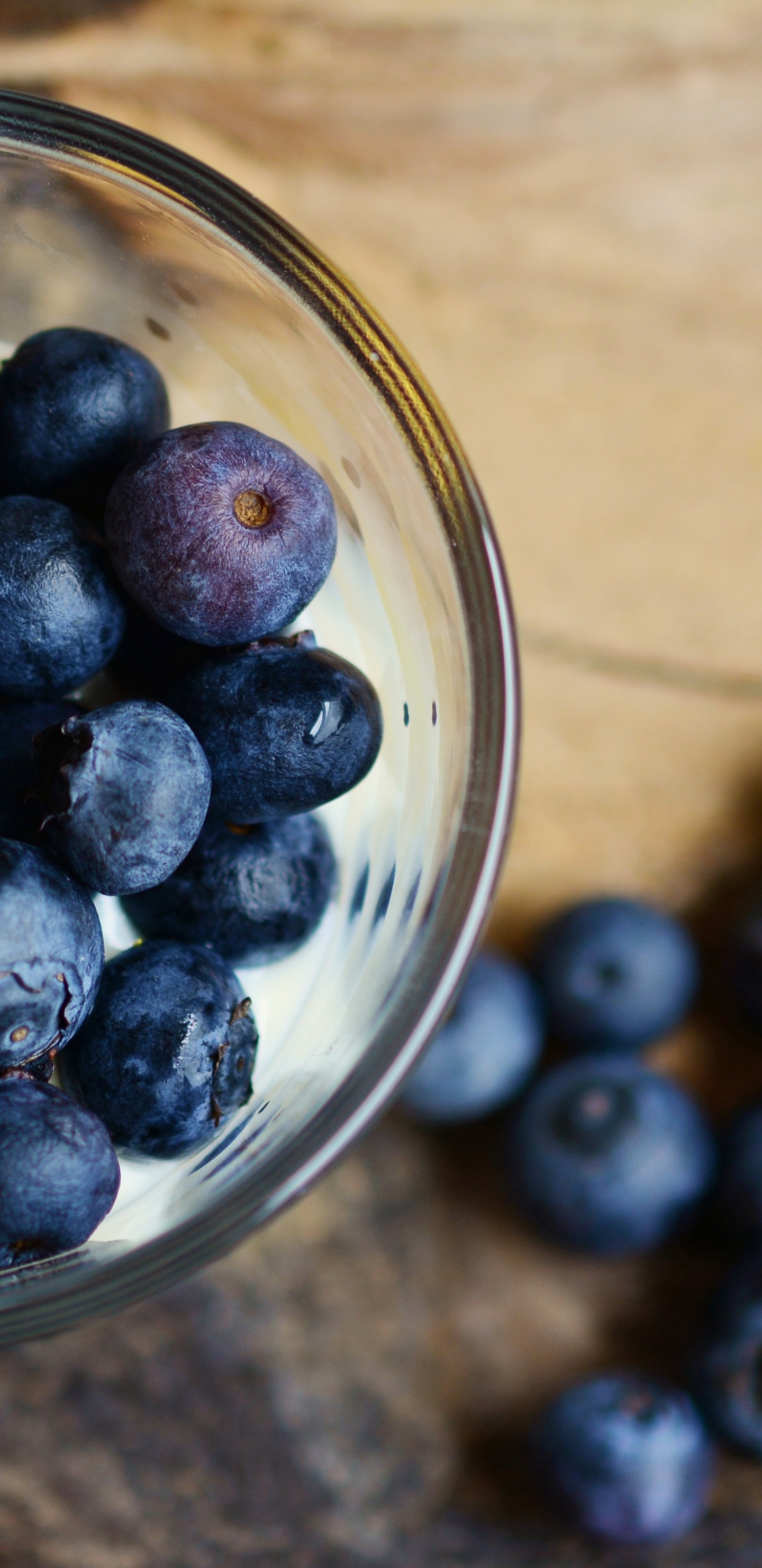 蓝莓, 食品, 梅斯皮诺亚, 营养, 健康 壁纸 1440x2960 允许