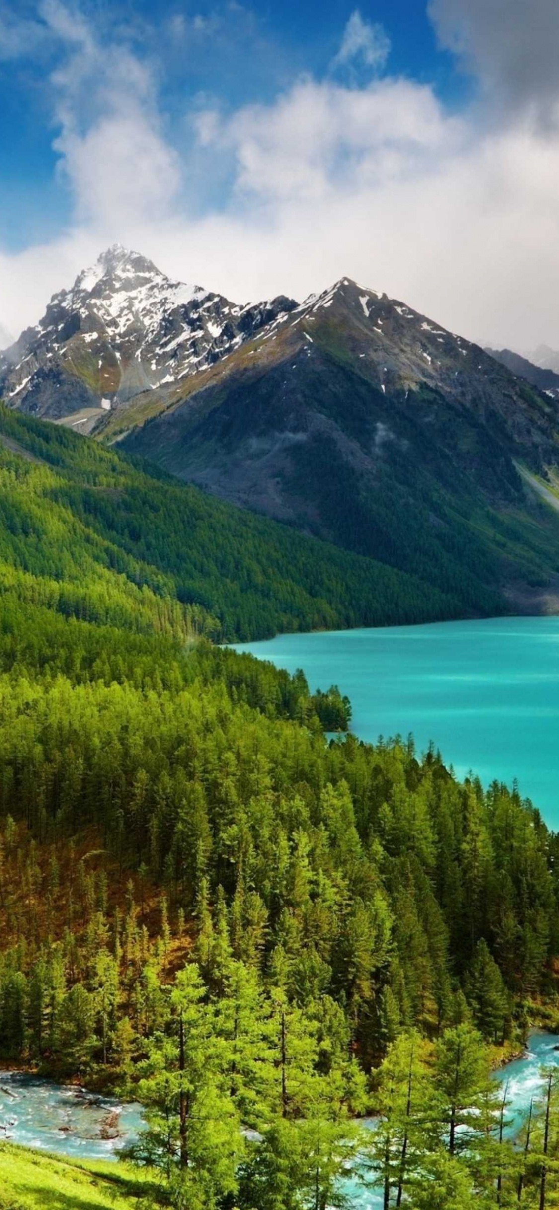 Green Trees on Green Grass Field Near Lake Under Blue Sky During Daytime. Wallpaper in 1125x2436 Resolution