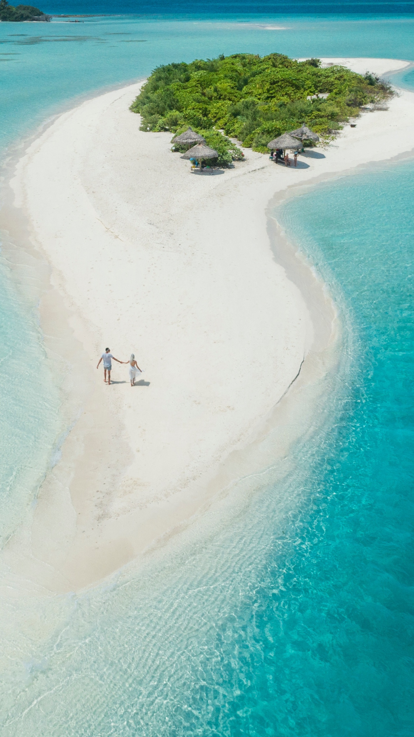 Isla, Playa, el Atolón De, Vacaciones, Costeras y Oceánicas, Las Formas de Relieve. Wallpaper in 1440x2560 Resolution