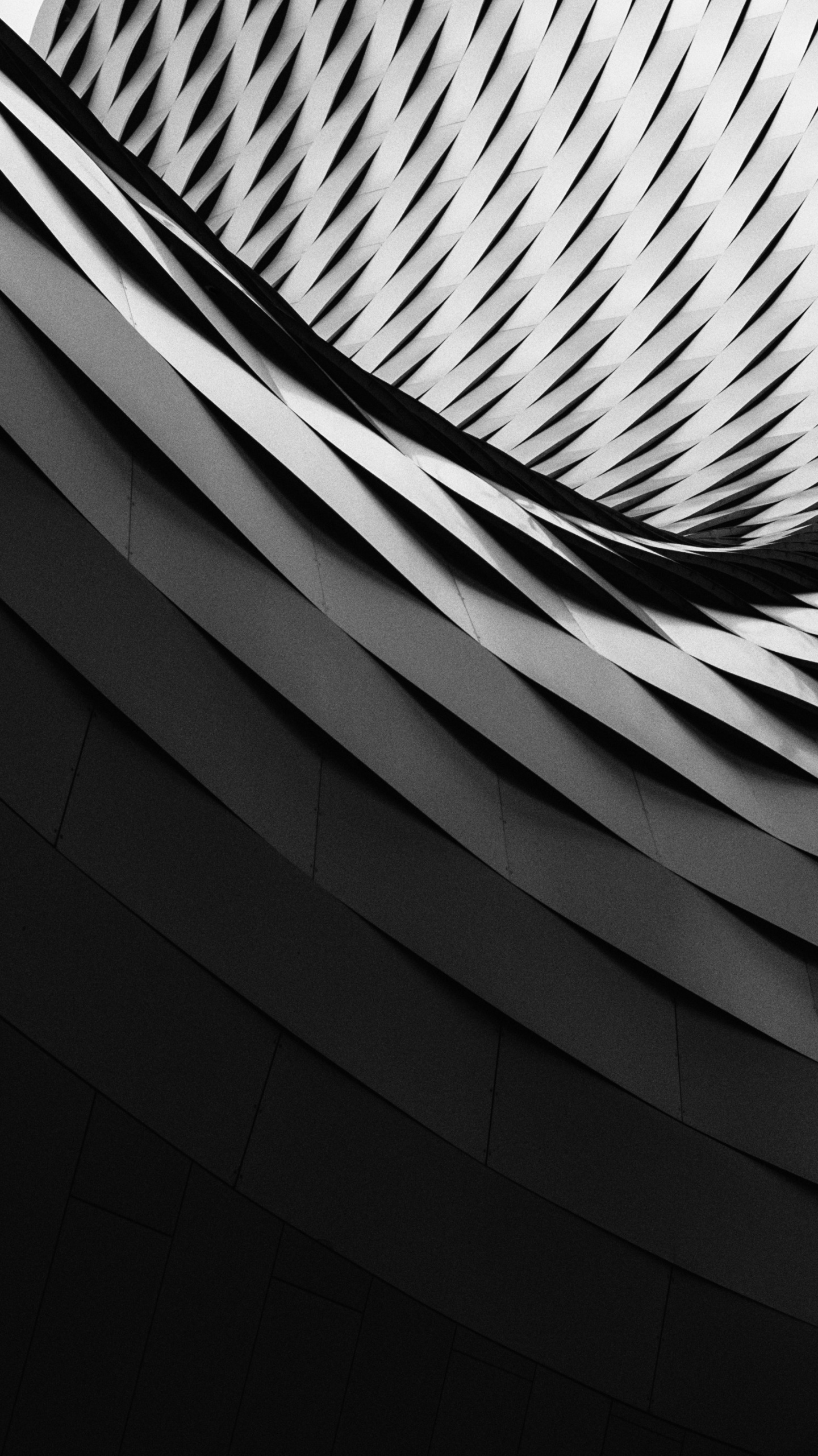 Ilustración Espiral Blanco y Negro. Wallpaper in 1440x2560 Resolution