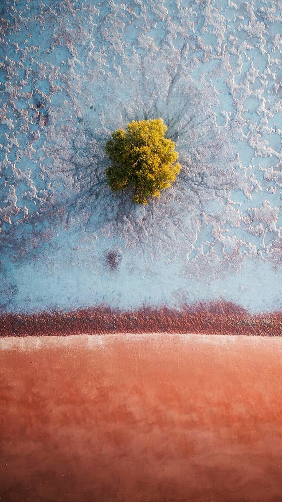 Todavía la Vida, Artes Visuales, Arte, Acuarela, Obra de Arte. Wallpaper in 1080x1920 Resolution