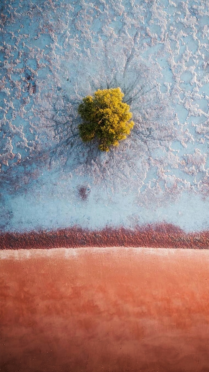 Todavía la Vida, Artes Visuales, Arte, Acuarela, Obra de Arte. Wallpaper in 720x1280 Resolution