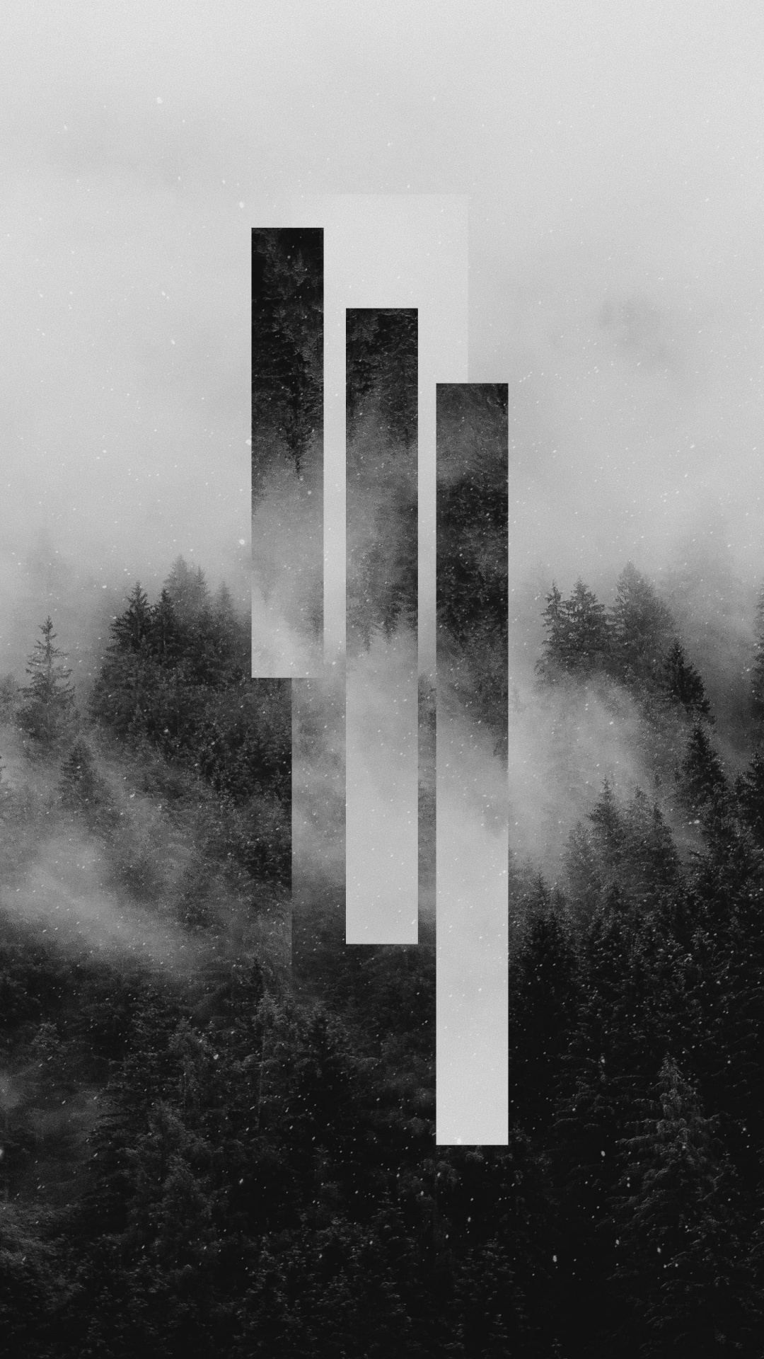 Create, Water, Atmosphere, Plant, Rectangle. Wallpaper in 1080x1920 Resolution