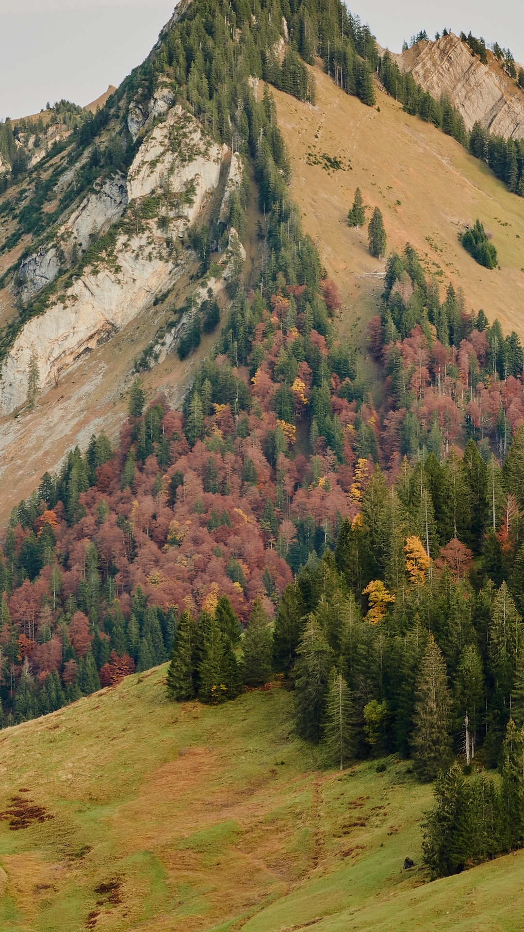 Highland, Archivo de Archivo, Gzip, la Comunidad Vegetal, Montaña. Wallpaper in 1080x1920 Resolution