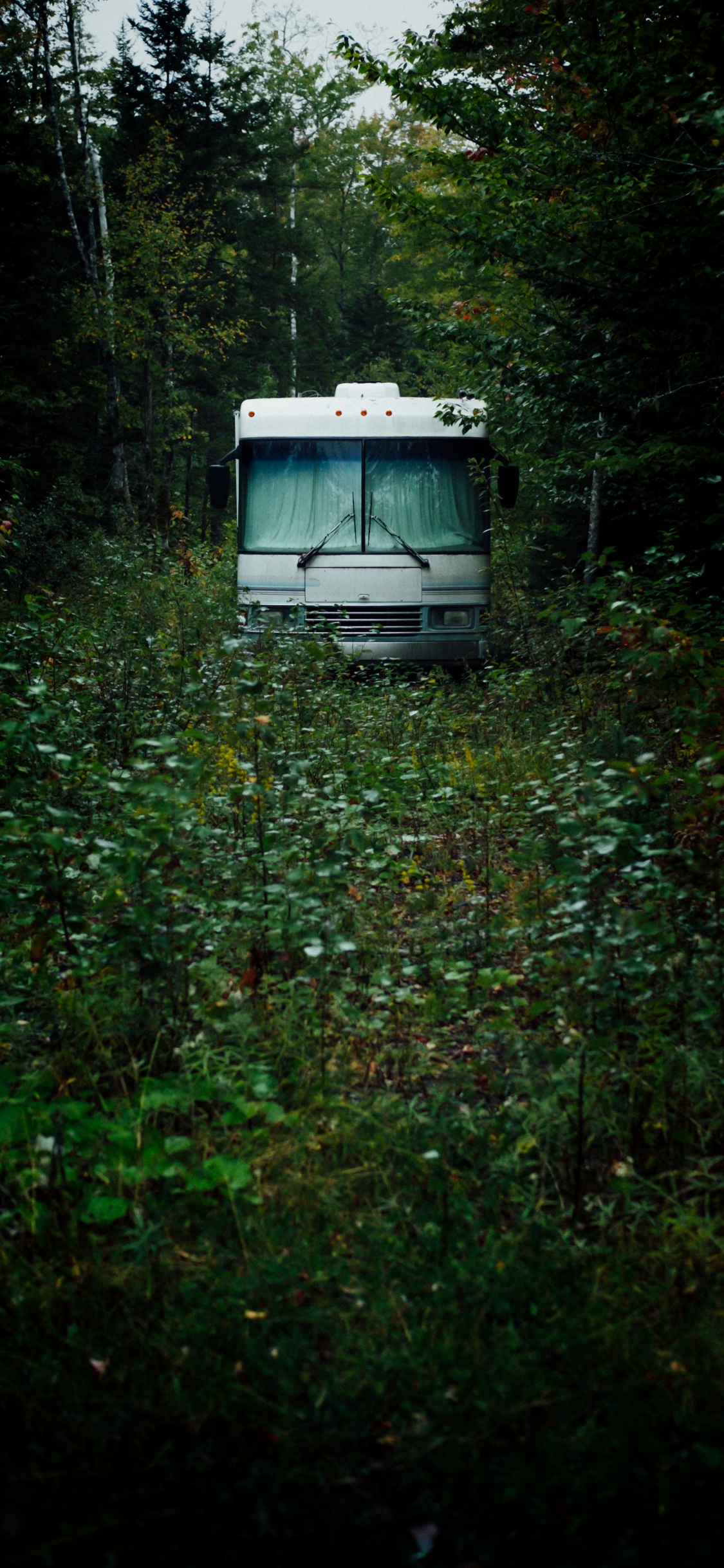 Bus Blanc et Bleu Sur L'herbe Verte Pendant la Journée. Wallpaper in 1125x2436 Resolution