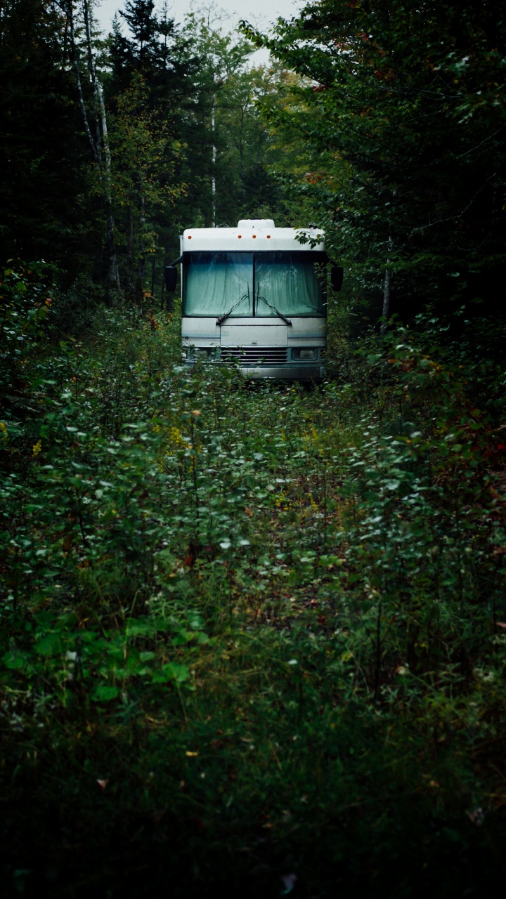 Bus Blanc et Bleu Sur L'herbe Verte Pendant la Journée. Wallpaper in 720x1280 Resolution