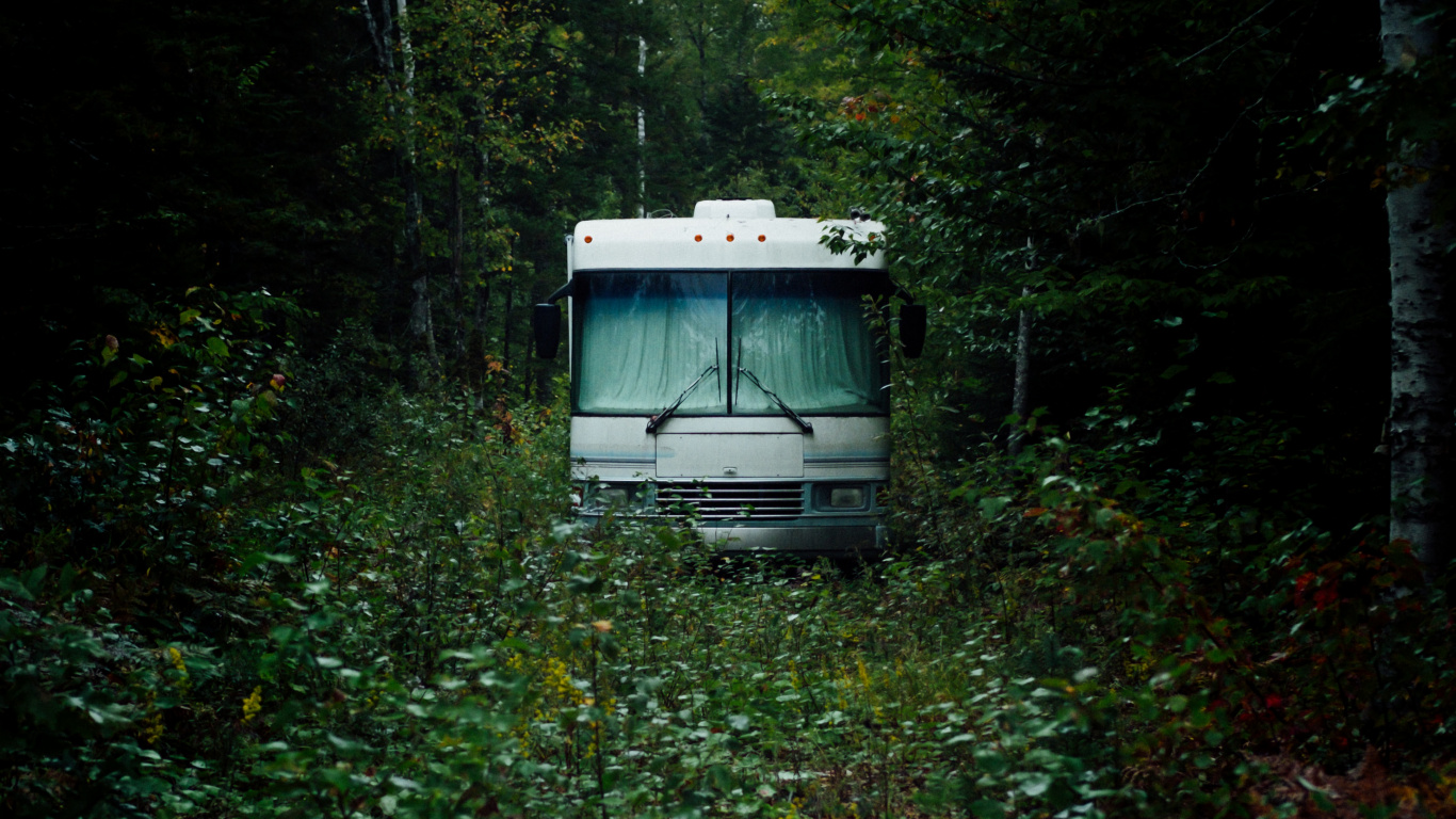 White and Blue Bus on Green Grass During Daytime. Wallpaper in 1366x768 Resolution