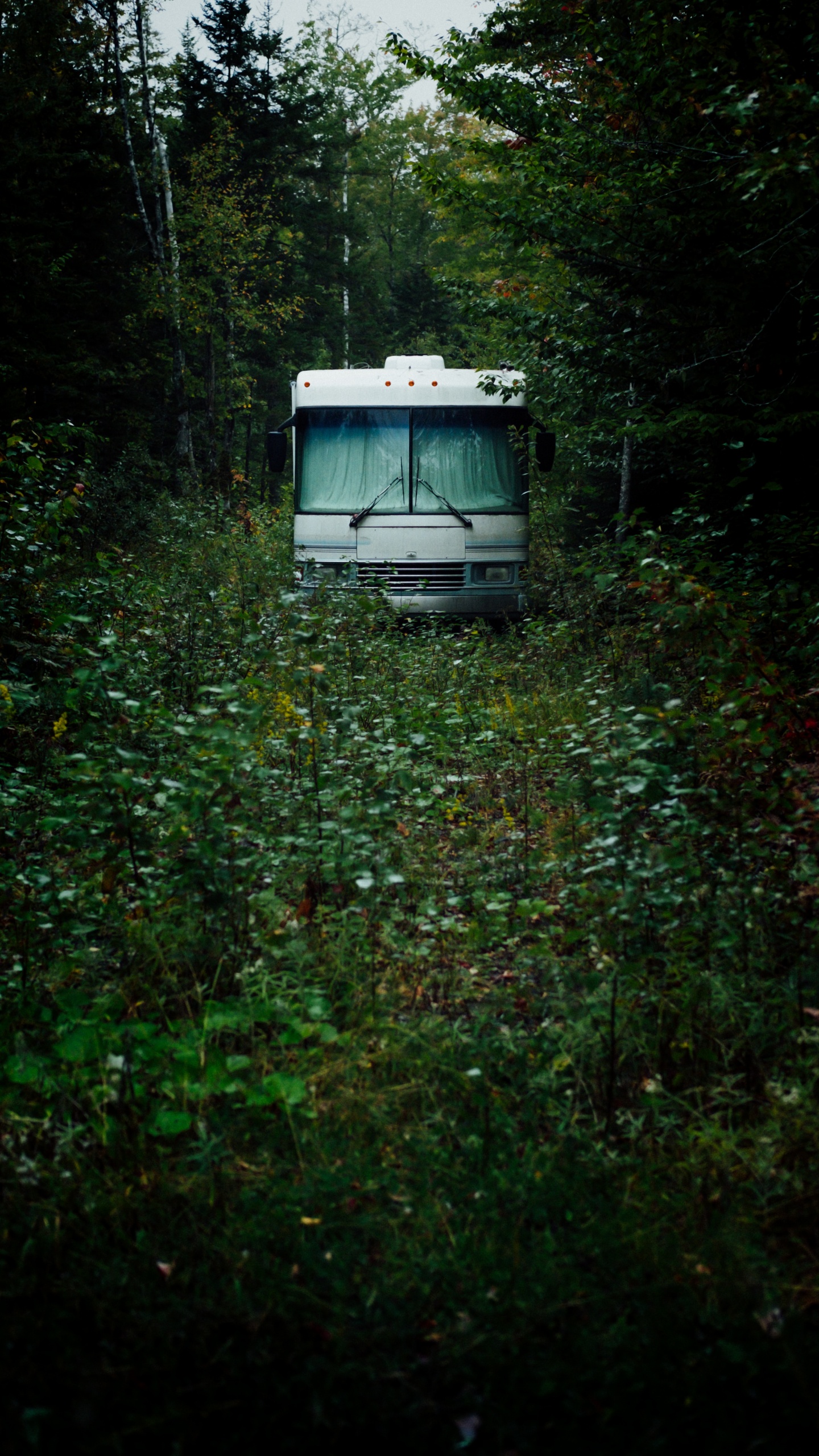 Bus Blanco y Azul Sobre la Hierba Verde Durante el Día. Wallpaper in 1440x2560 Resolution