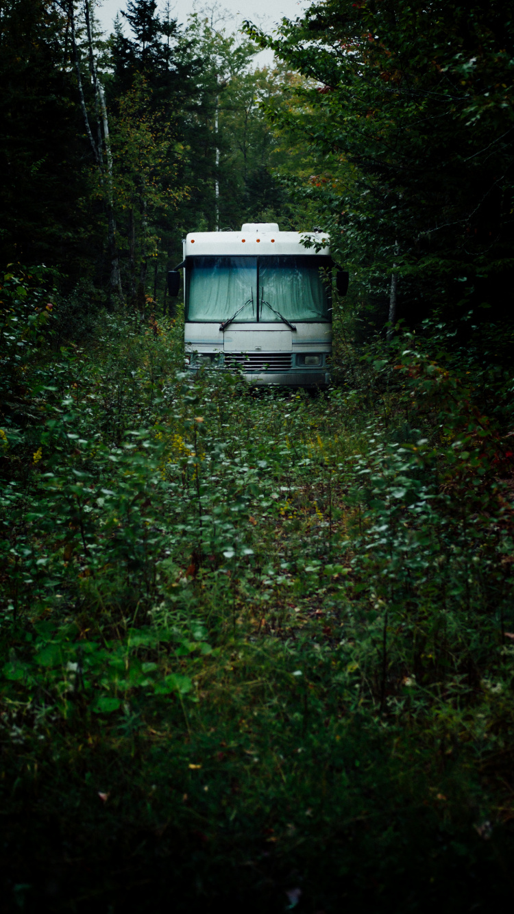 Bus Blanco y Azul Sobre la Hierba Verde Durante el Día. Wallpaper in 750x1334 Resolution