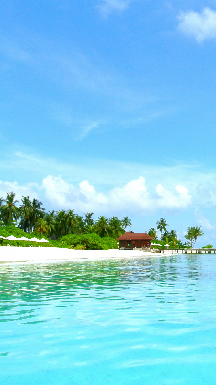 White Boat on Body of Water During Daytime. Wallpaper in 750x1334 Resolution