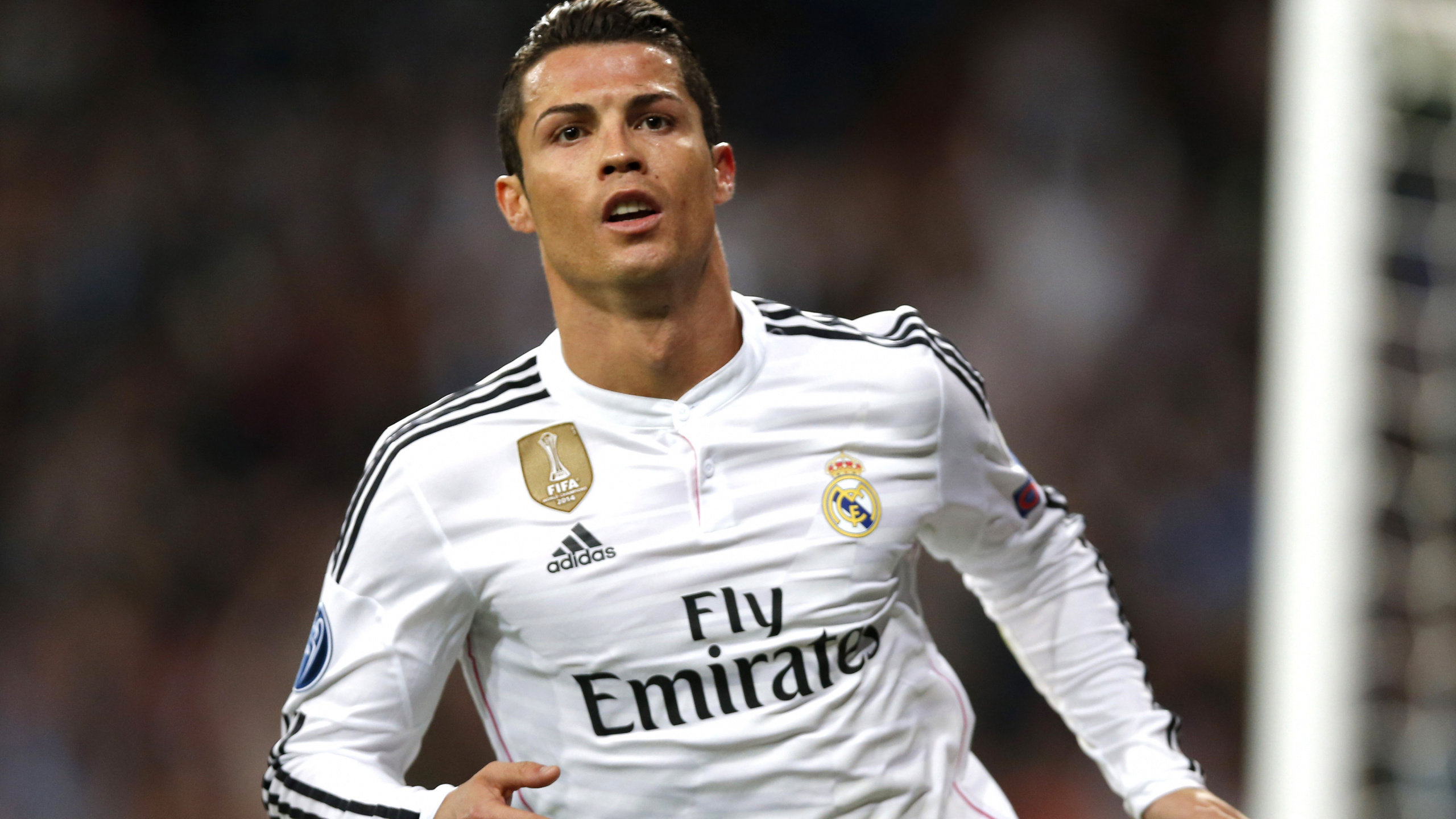 Hombre de Camiseta Blanca y Negra de Adidas.. Wallpaper in 2560x1440 Resolution