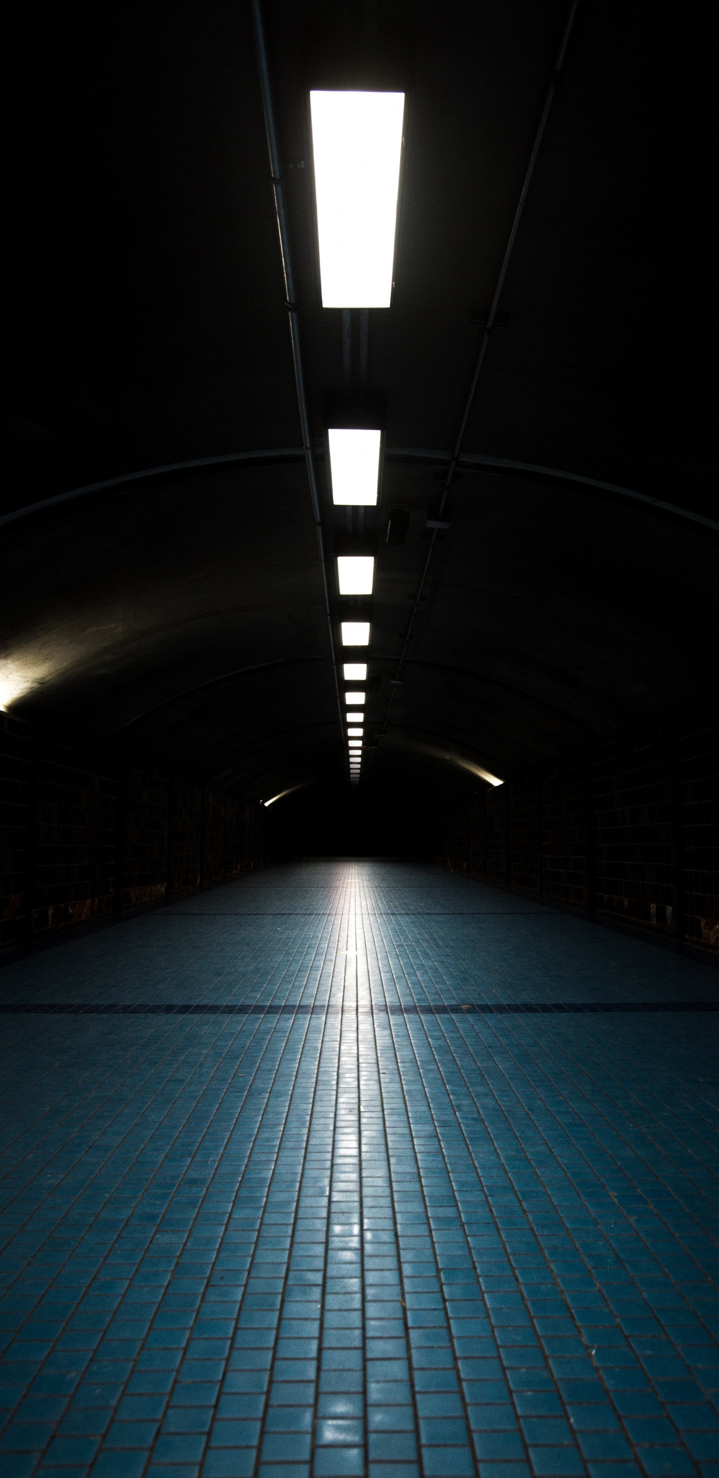 Carrelage Bleu et Blanc. Wallpaper in 1440x2960 Resolution