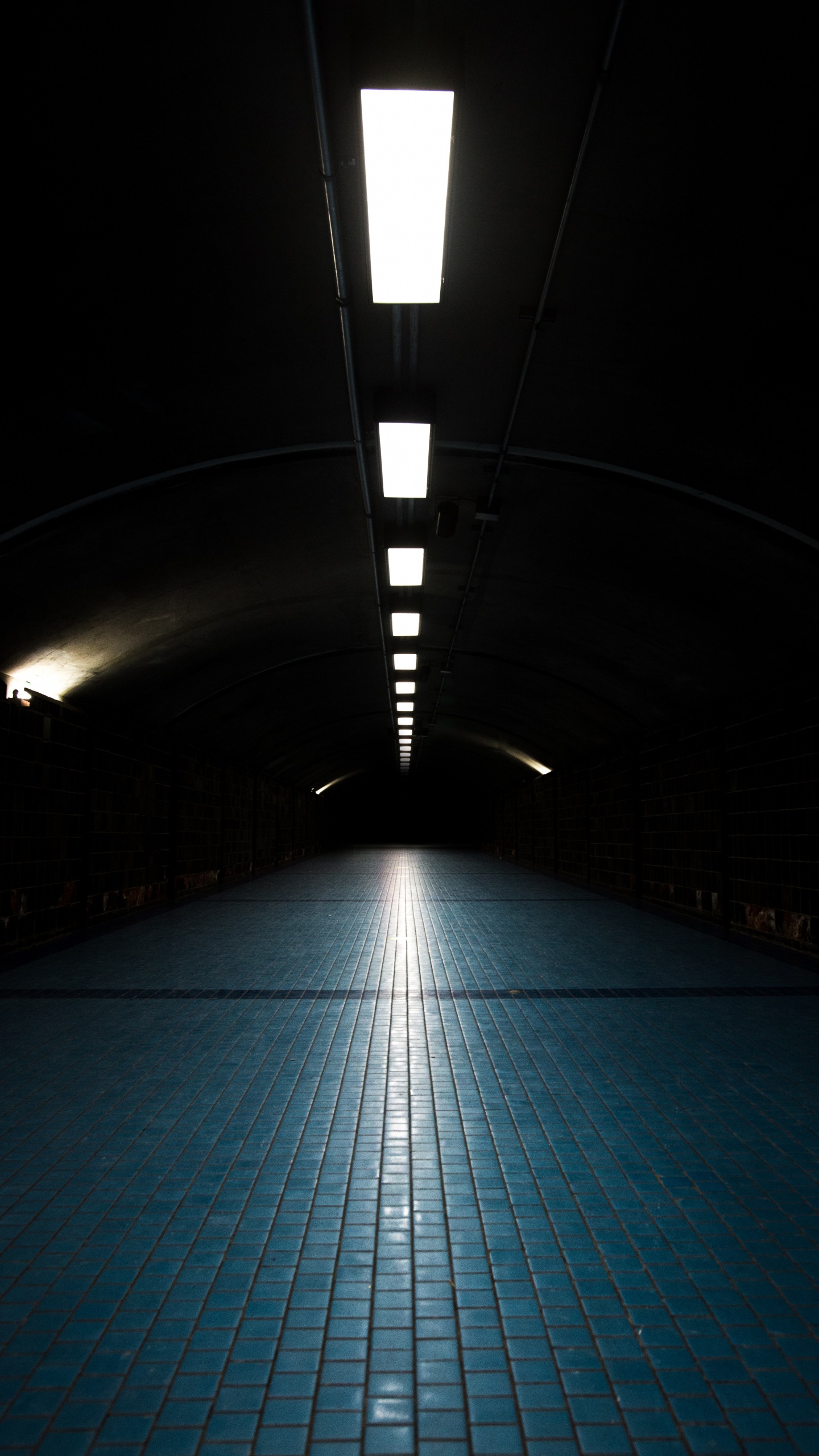 Blue and White Floor Tiles. Wallpaper in 1440x2560 Resolution