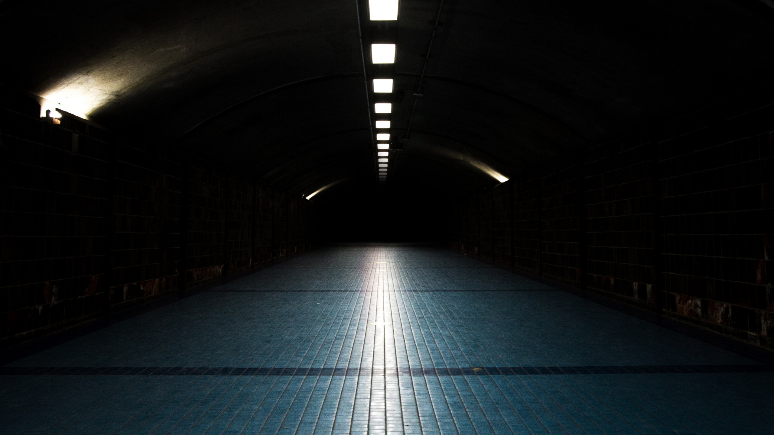 Blue and White Floor Tiles. Wallpaper in 2560x1440 Resolution