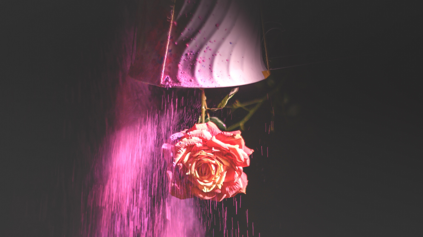 Lila Und Rosa Licht im Dunklen Raum. Wallpaper in 1366x768 Resolution