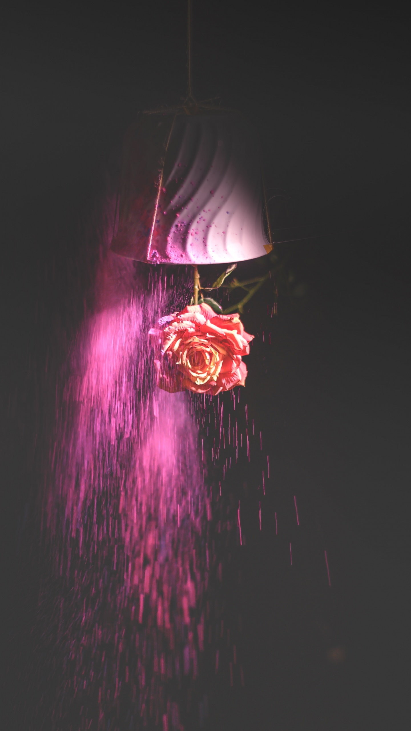 Lila Und Rosa Licht im Dunklen Raum. Wallpaper in 1440x2560 Resolution