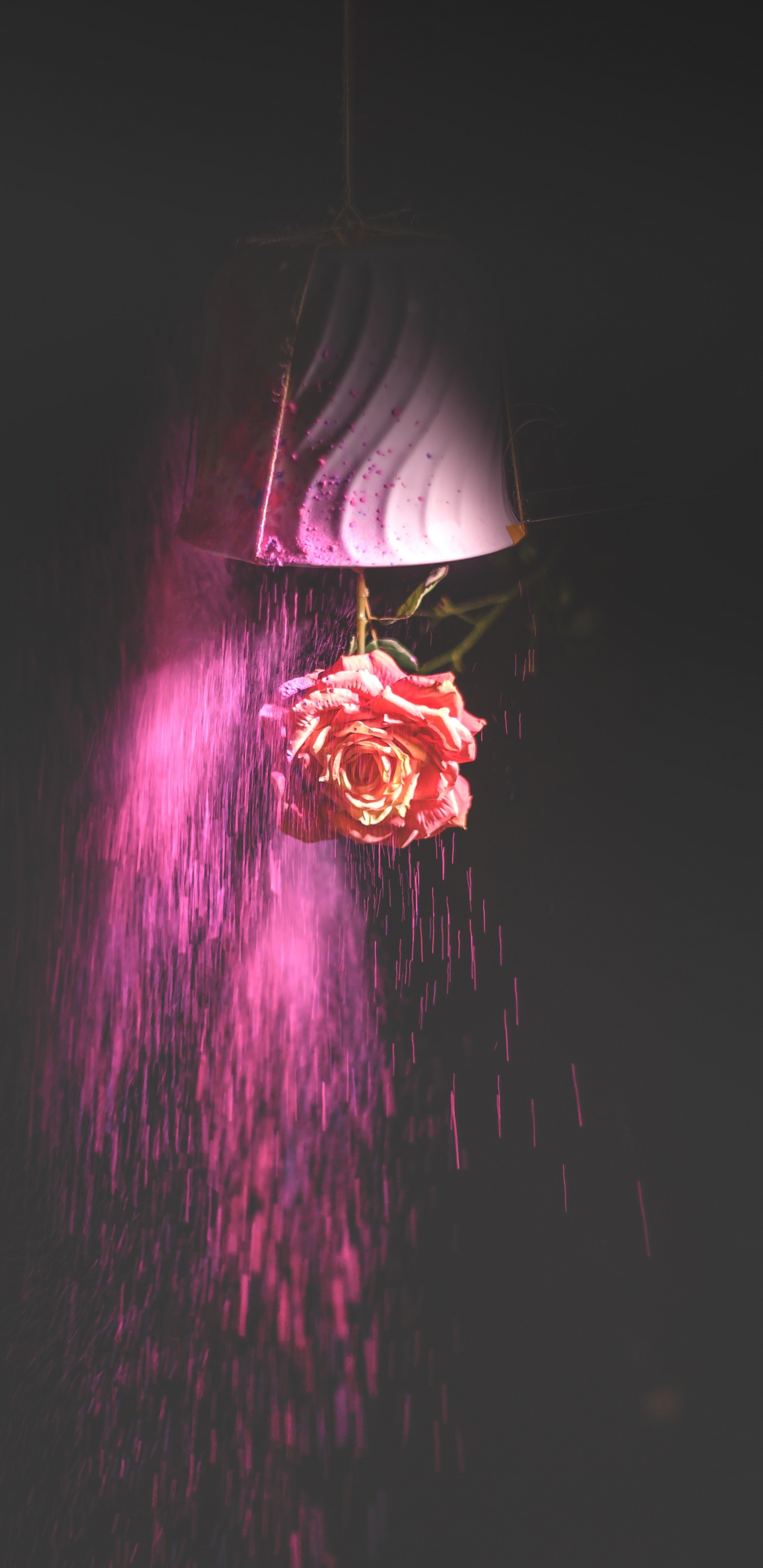 Lumière Violette et Rose Dans Une Pièce Sombre. Wallpaper in 1440x2960 Resolution