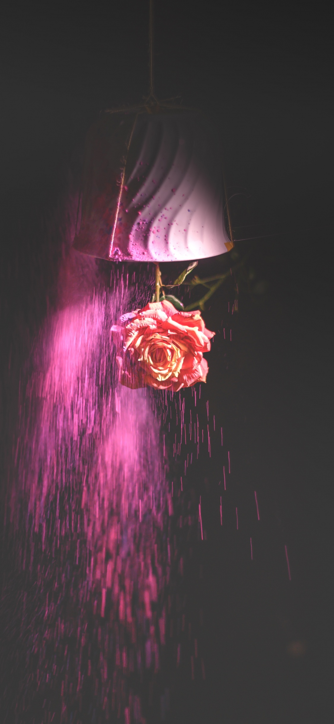 Luz Púrpura y Rosa en Una Habitación Oscura. Wallpaper in 1125x2436 Resolution