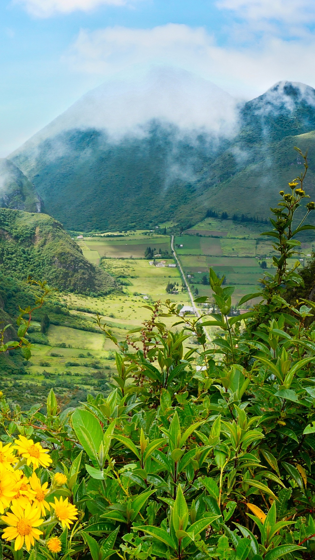 Yellow Flower With Green Grass Field and Mountains in The Distance. Wallpaper in 1080x1920 Resolution