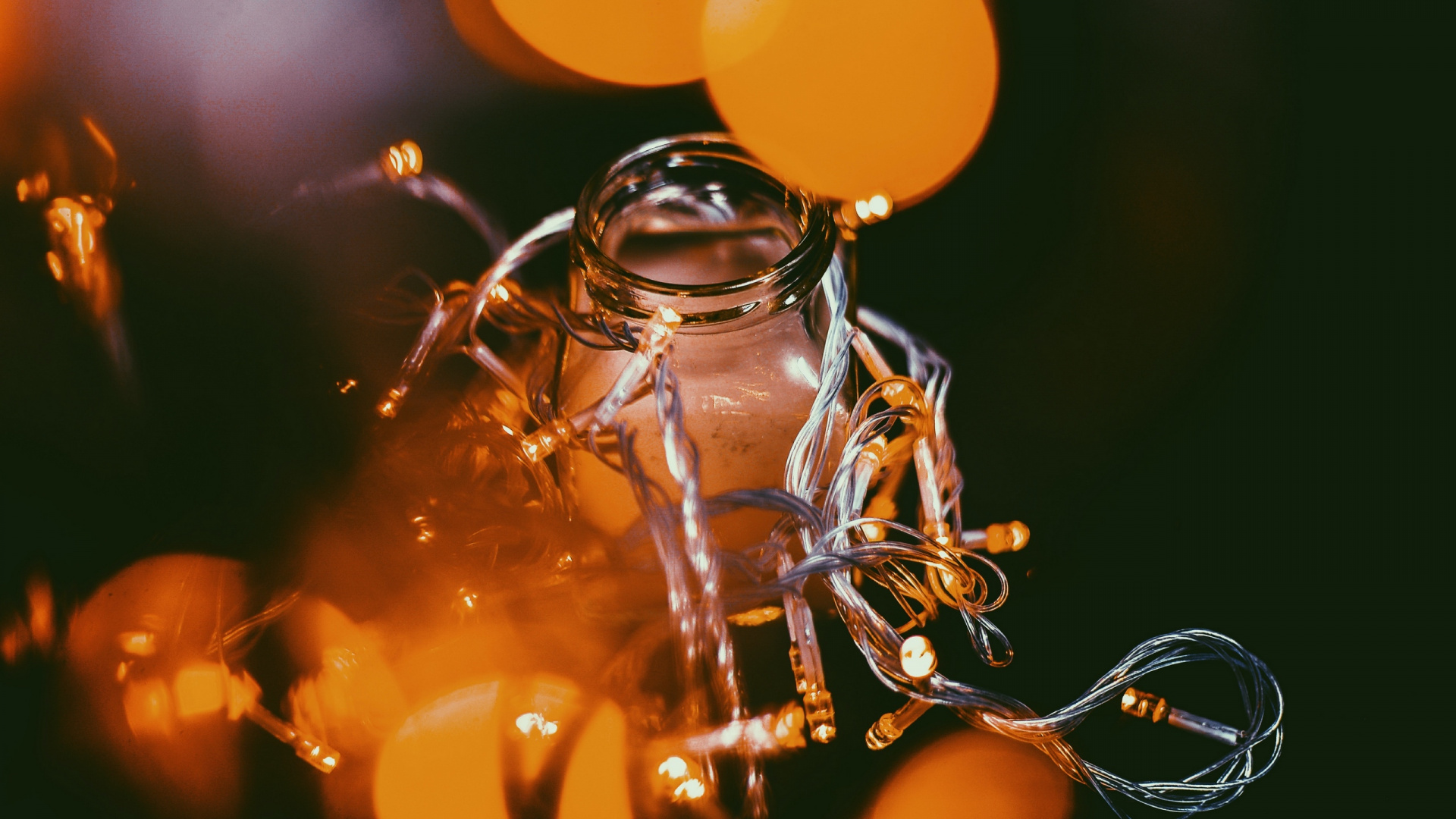 Bokeh, Lumière, Pot, Insecte. Wallpaper in 1920x1080 Resolution