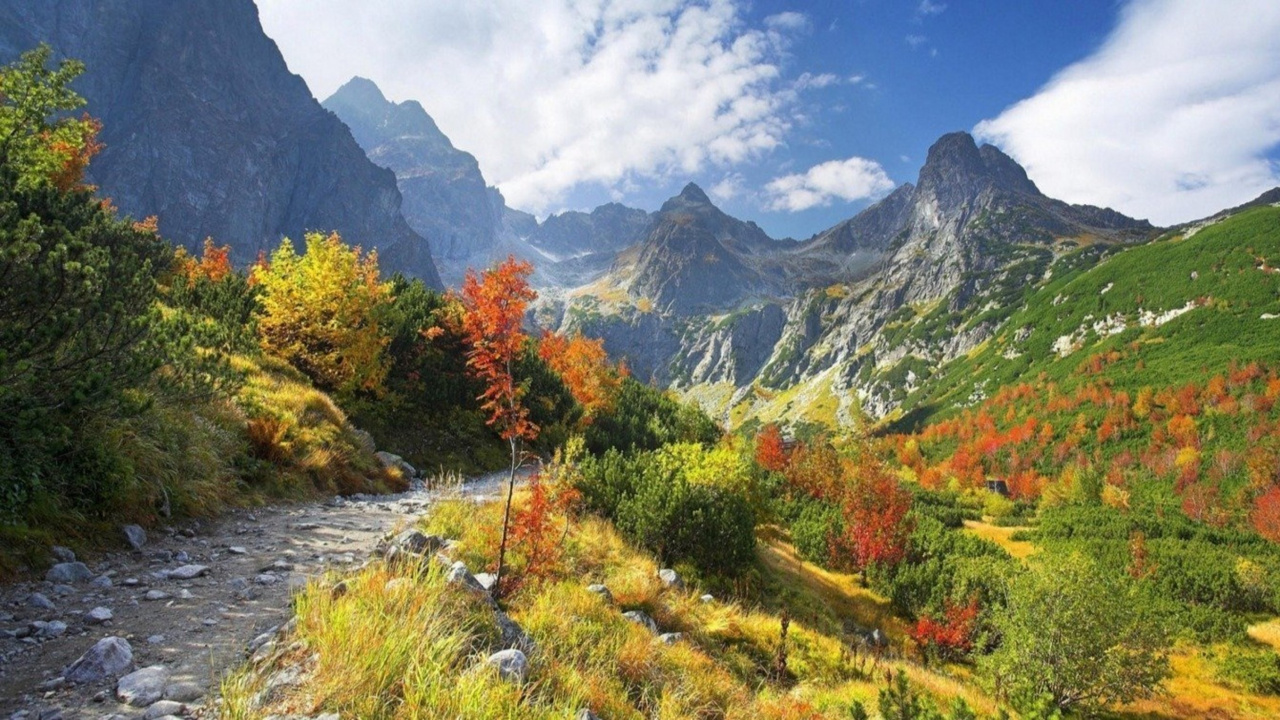Grüne Und Orange Bäume in Der Nähe Des Berges Unter Weißen Wolken Und Blauem Himmel Tagsüber. Wallpaper in 1280x720 Resolution