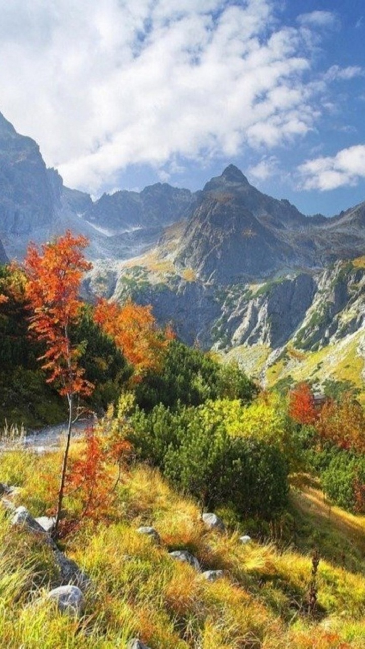 Green and Orange Trees Near Mountain Under White Clouds and Blue Sky During Daytime. Wallpaper in 720x1280 Resolution