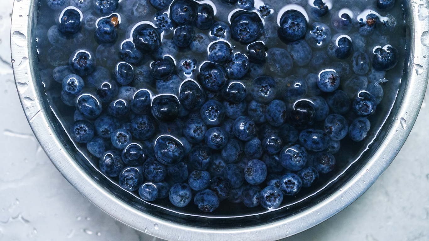 Blue Berries on Black Round Container. Wallpaper in 1366x768 Resolution
