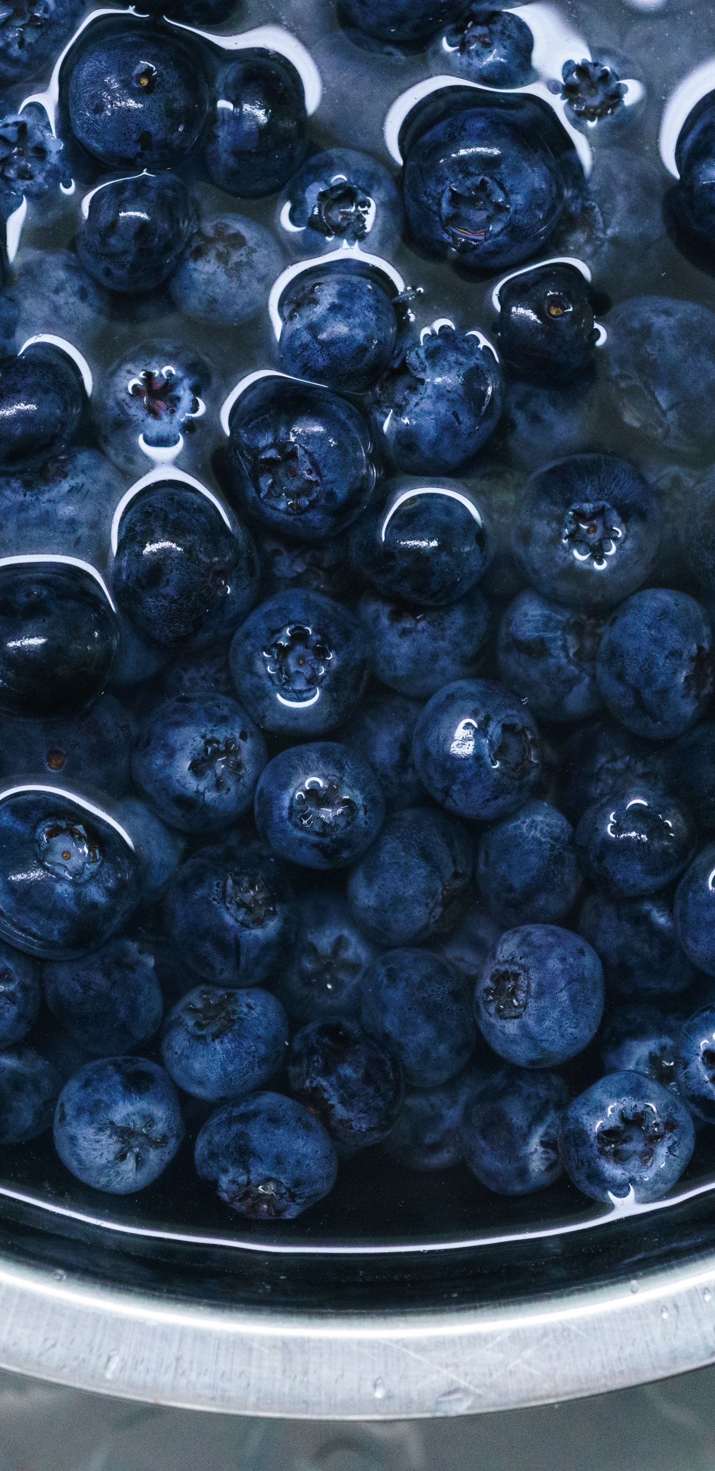 Baies Bleues Sur Récipient Rond Noir. Wallpaper in 1440x2960 Resolution