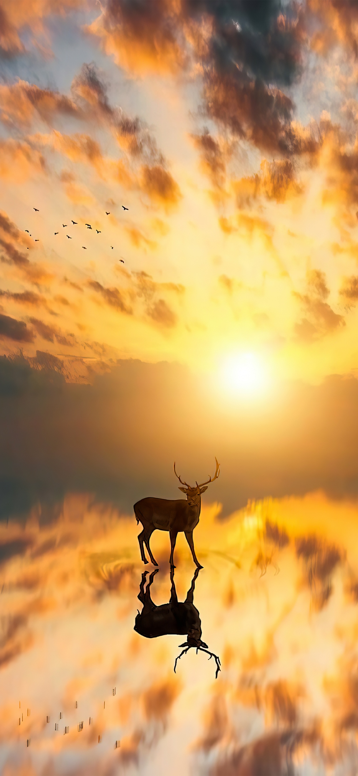 Atmosphère, L'écorégion, Lumière, Afterglow, Nature. Wallpaper in 1242x2688 Resolution