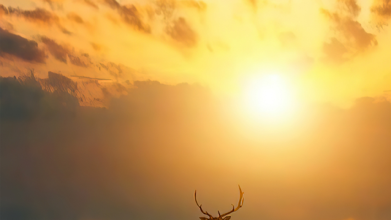 Atmosphère, L'écorégion, Lumière, Afterglow, Nature. Wallpaper in 1280x720 Resolution