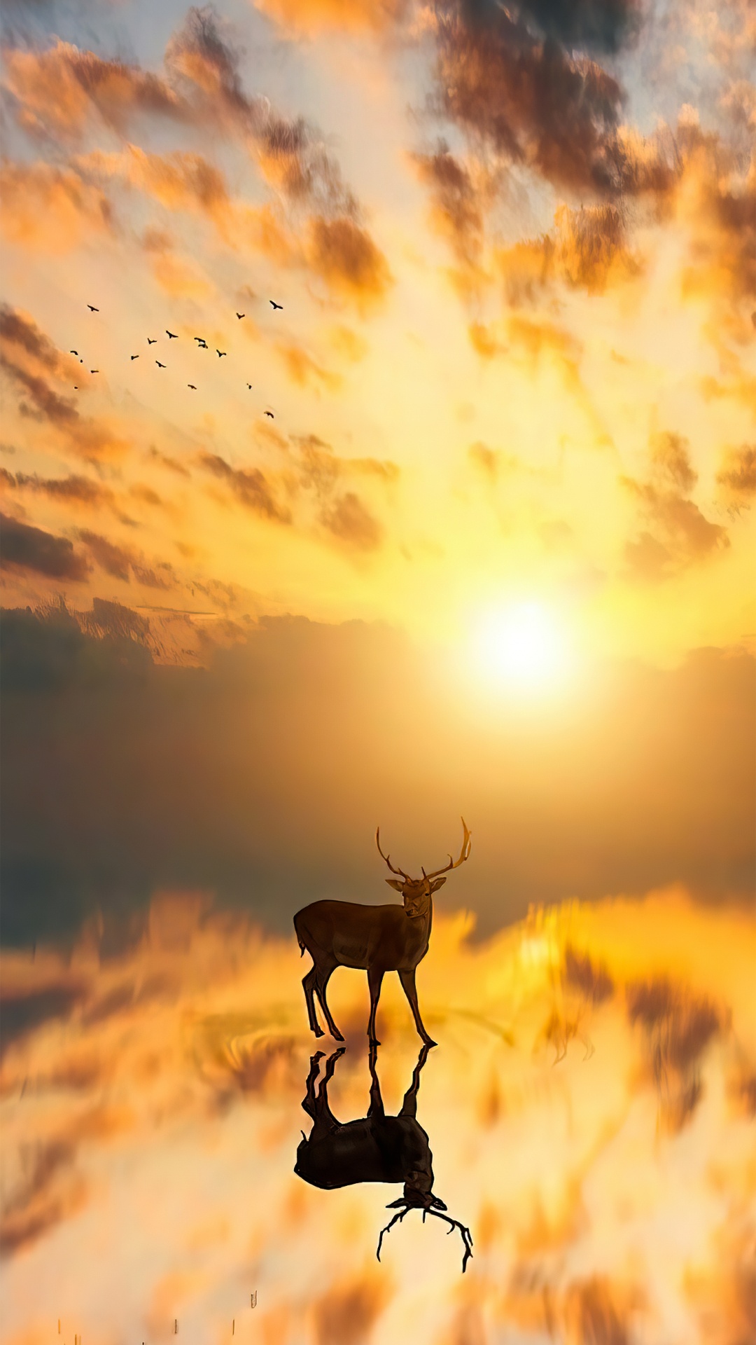 Cloud, Atmosphäre, Ökoregion, Licht, Afterglow. Wallpaper in 1080x1920 Resolution