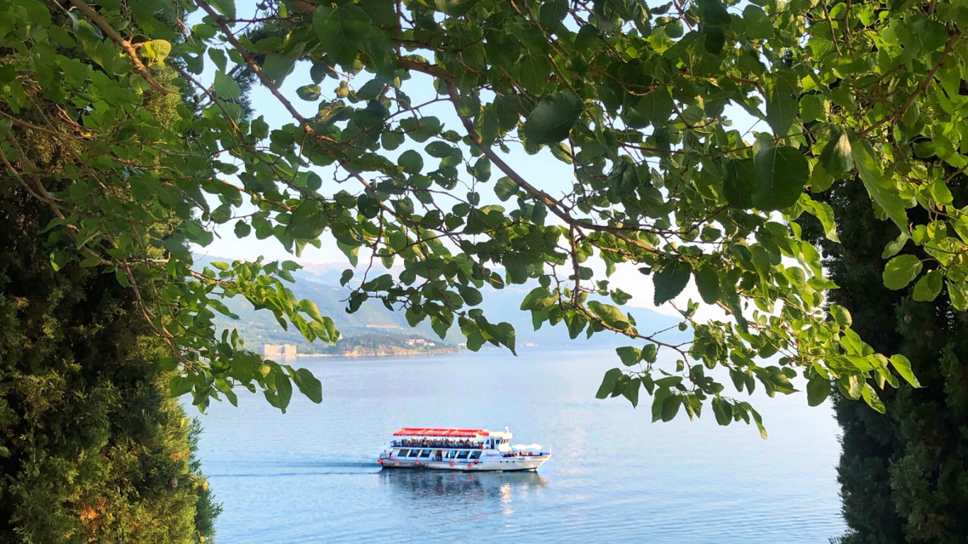 Agua, la Comunidad Vegetal, Biología, Ciencia, Moto de Agua. Wallpaper in 1366x768 Resolution