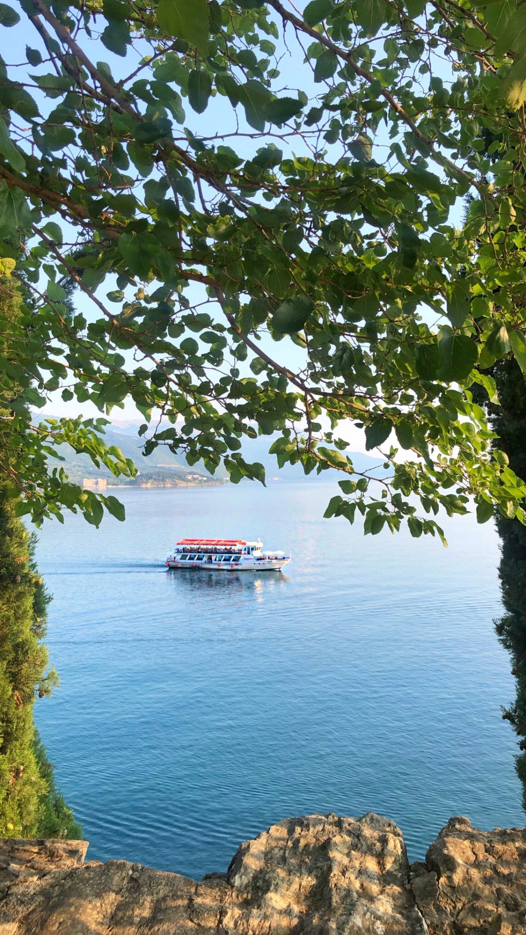 Water, Plant Community, Biology, Science, Watercraft. Wallpaper in 1080x1920 Resolution