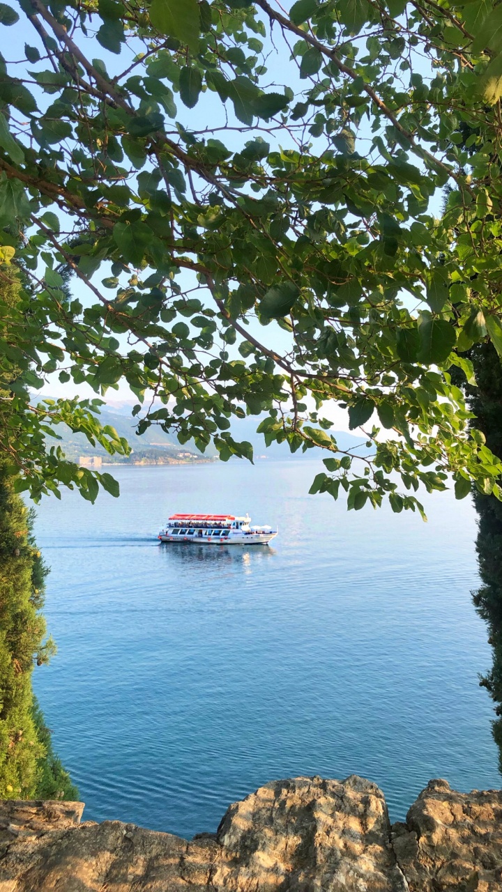 Water, Plant Community, Biology, Science, Watercraft. Wallpaper in 720x1280 Resolution