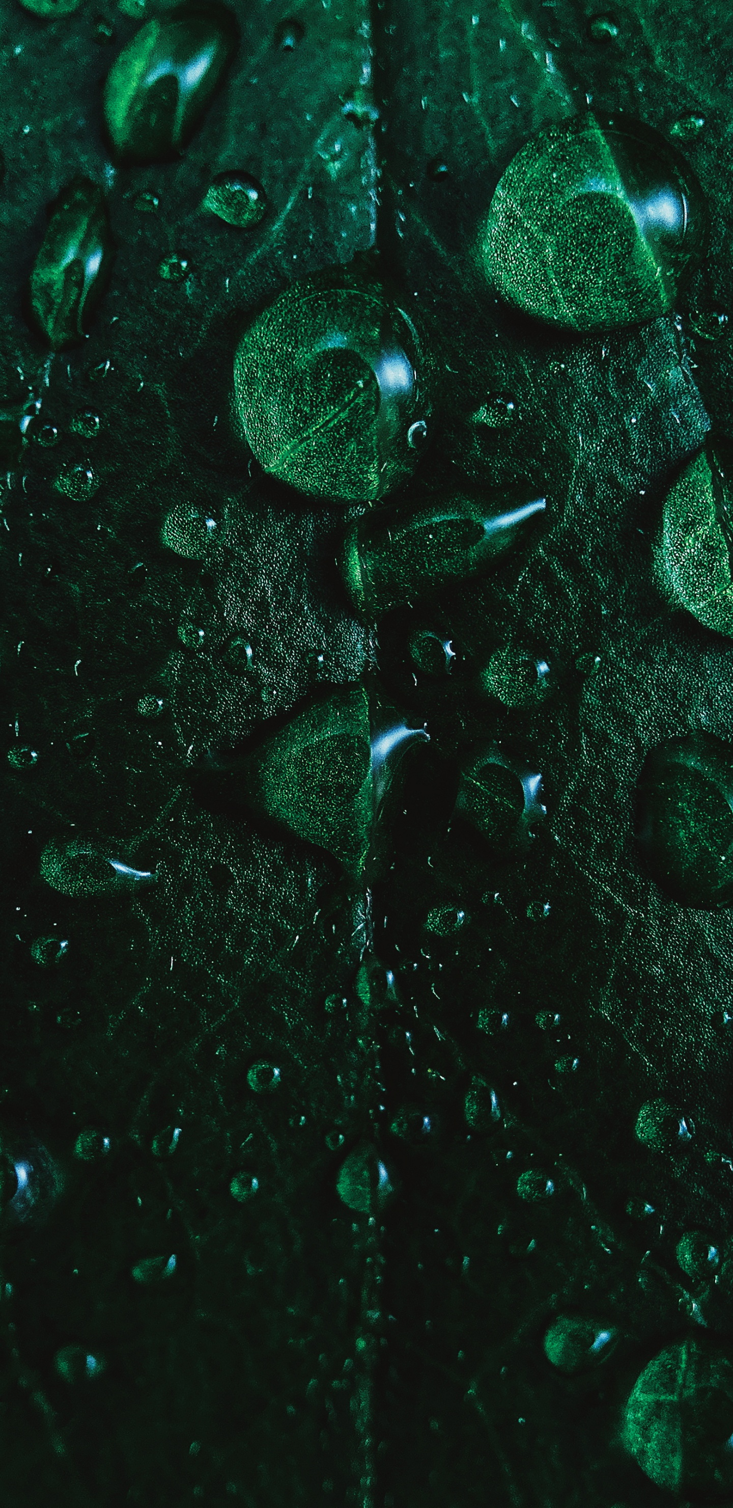 Ios, Äpfeln, Mitternachtsgrün, Flüssigkeit, Unterwasser. Wallpaper in 1440x2960 Resolution