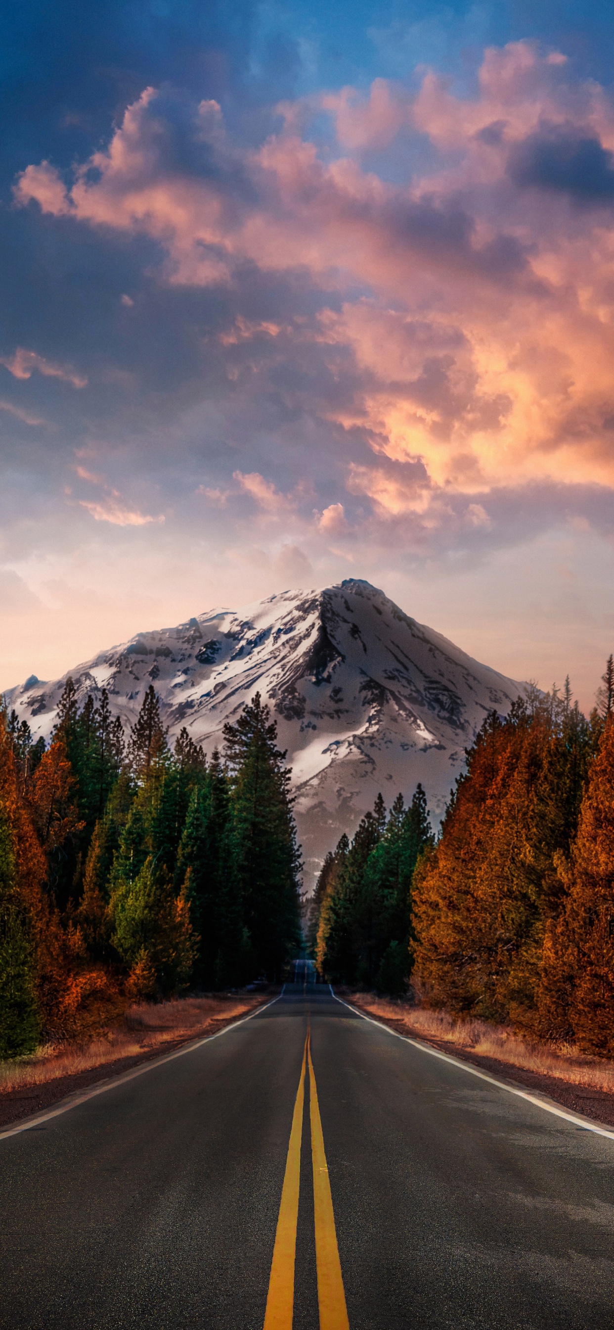 Cloud, Plant, Mountain, Daytime, Ecoregion. Wallpaper in 1242x2688 Resolution