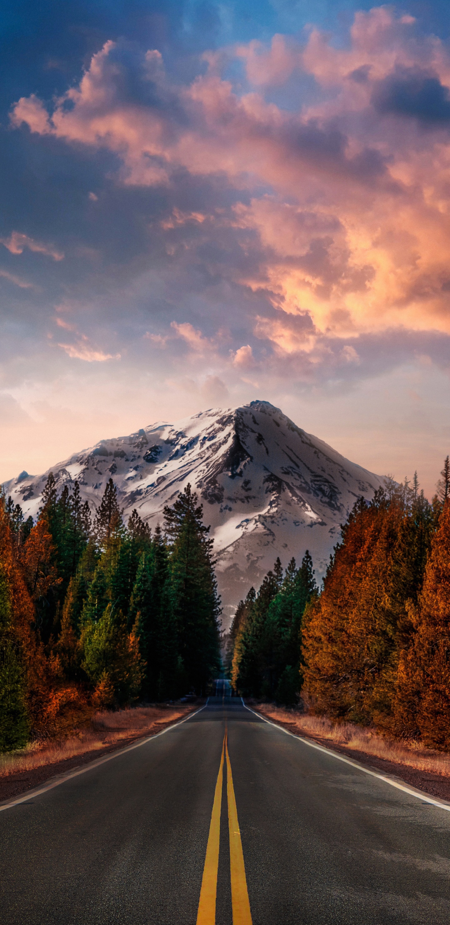 la Journée, L'écorégion, Lumière, Paysage Naturel, Surface de la Route. Wallpaper in 1440x2960 Resolution