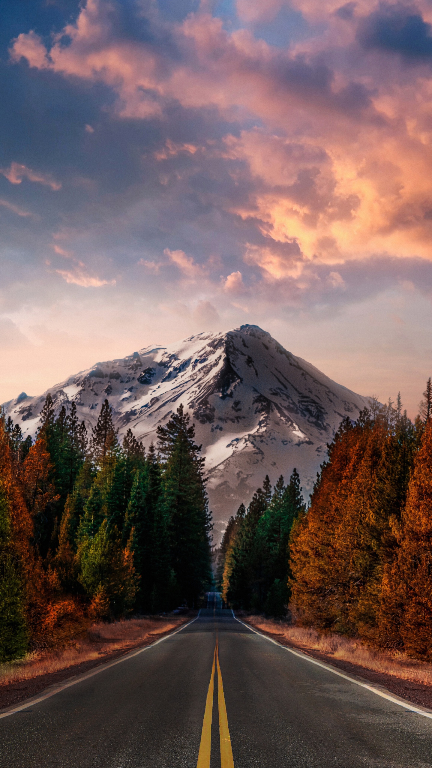 生态区, 光, 自然景观 壁纸 1440x2560 允许